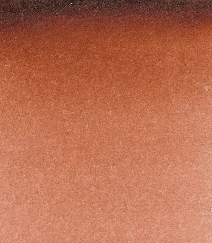 14 648 Transparent brown