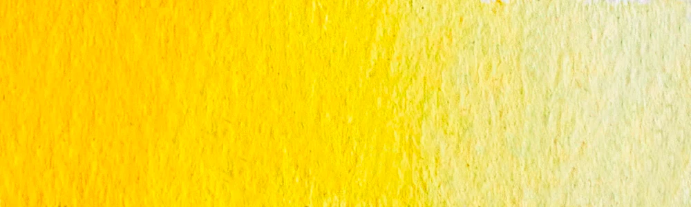 Färgsten – Höstgul poppel